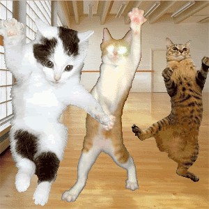 b6b9b29f0b13b1cc626b0dccf81c0e00.gif