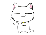 fatdancingcat.gif