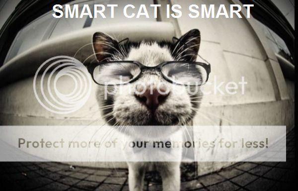 smartcat.png