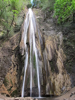n1.jpg