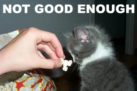 cat_not_good_enough.jpg