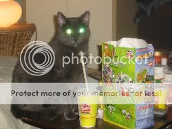 PunkinandWendys-1.jpg
