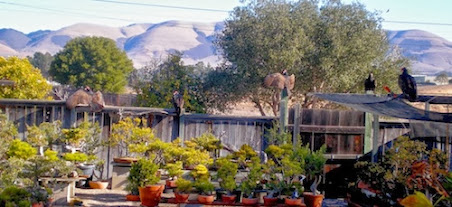 Aq3UHfw4bo-peiVaWHsEhDDhmlS7y_rd4IS5np5q8Gs=w452-h207-p-no