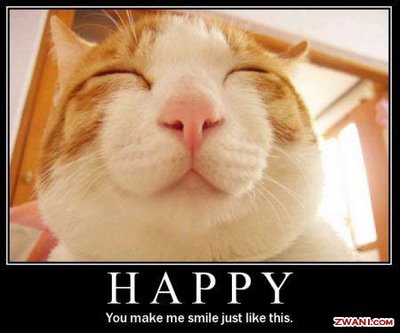 cat-happy-smile.jpg