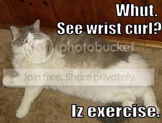 ExerciseCat.jpg