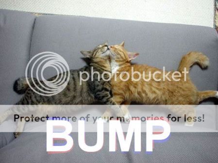 bump_Cat_bump_zps168cafc7.jpg