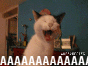 tumblr_m4kj2lbofM1rwcc6bo1_400.gif