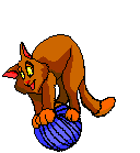 CatBouncing.gif