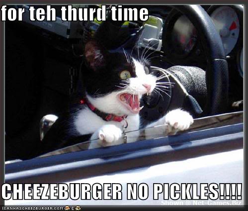 lol%2Bcats%2B8.jpg