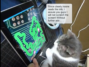 cats-love-ipad.jpg