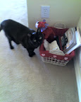 caught.jpg