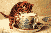 CatCoffeeCup.gif
