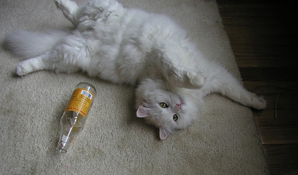 thinkdrunk_0.jpg