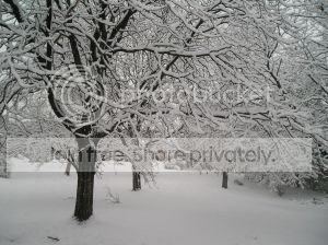 February3rd20143_zps341c86bf.jpg