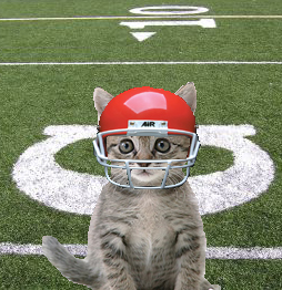 felix+helmet.jpg