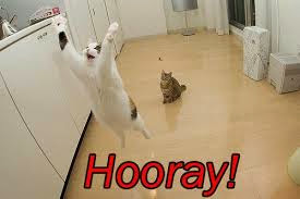 hooray.jpg