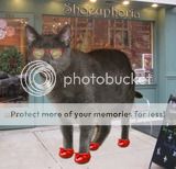 Punkinsinsulinshoes.jpg