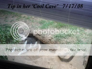 TipInsideCoolCaveJuly08.jpg