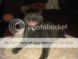 IMG_4382-1-1-1.jpg