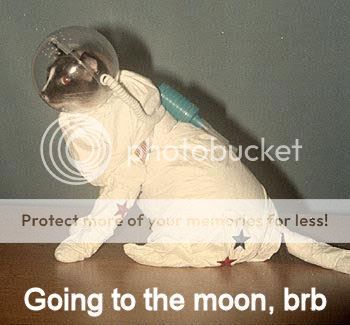 Moon.jpg