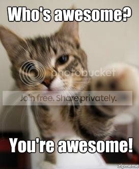 awesomecat_zpsc4893e29.jpg