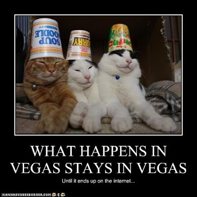 Vegas%2BCats.jpg