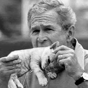 bush+eating+cat.jpg