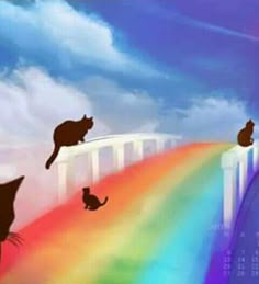 0744b07c2f67367faffc2c6b7b35e706--pet-loss-rainbow-bridge.jpg