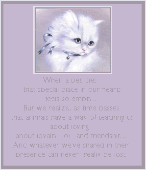 cat_loss1.gif