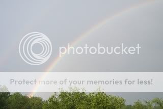 rainbow2.jpg
