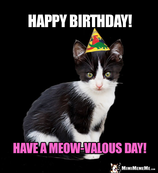 bDayMeowvalus.jpg
