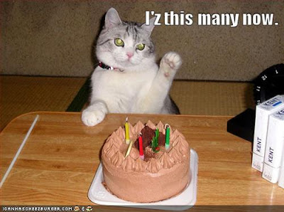 birthday-cat.jpg