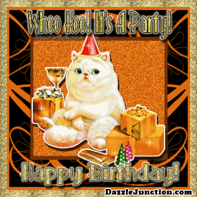 birthday-party-cat.gif