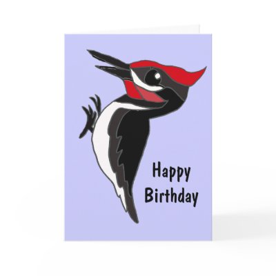 bc_funny_cartoon_woodpecker_birthday_card-p137168002810459216z7suj_400.jpg