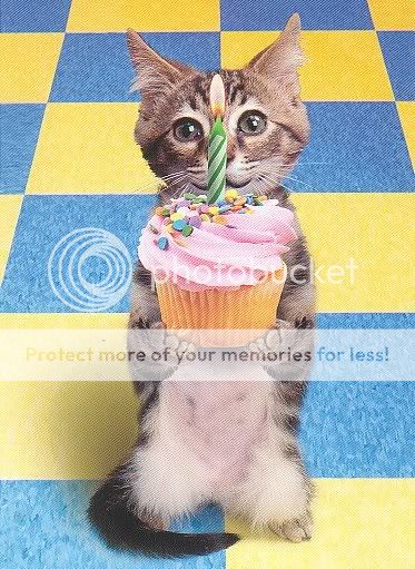 cat-birthday-funny-picture.jpg