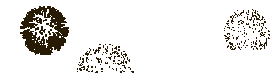 fireworks-animation-gif.gif