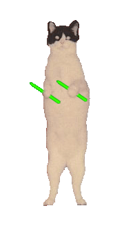 glowstickcat.gif