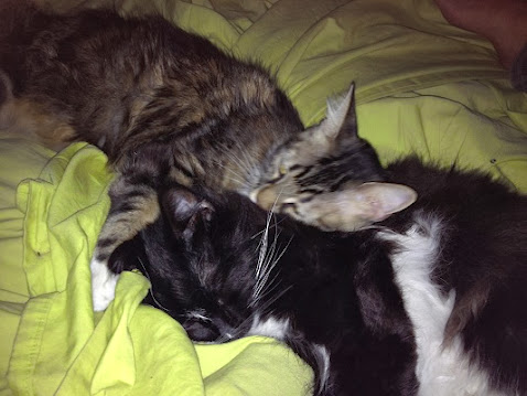 cI_4bWuqBba8_cqdrwsiyWcDYkPga7y7PrI-AYGkH74=w478-h359-no