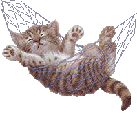 cat12.gif