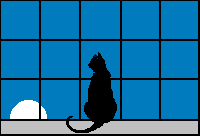 catmoon.gif