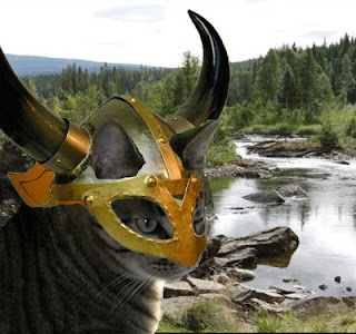 VikingKitties.jpg