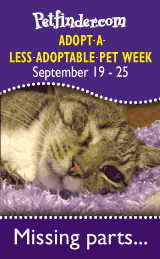 less-adoptable-widget-10c.gif