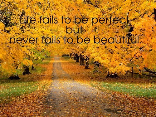 2068207579-fall-quotes-inspirational-3.jpg