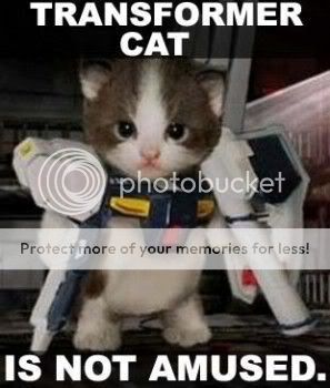 Transformer_Cat.jpg