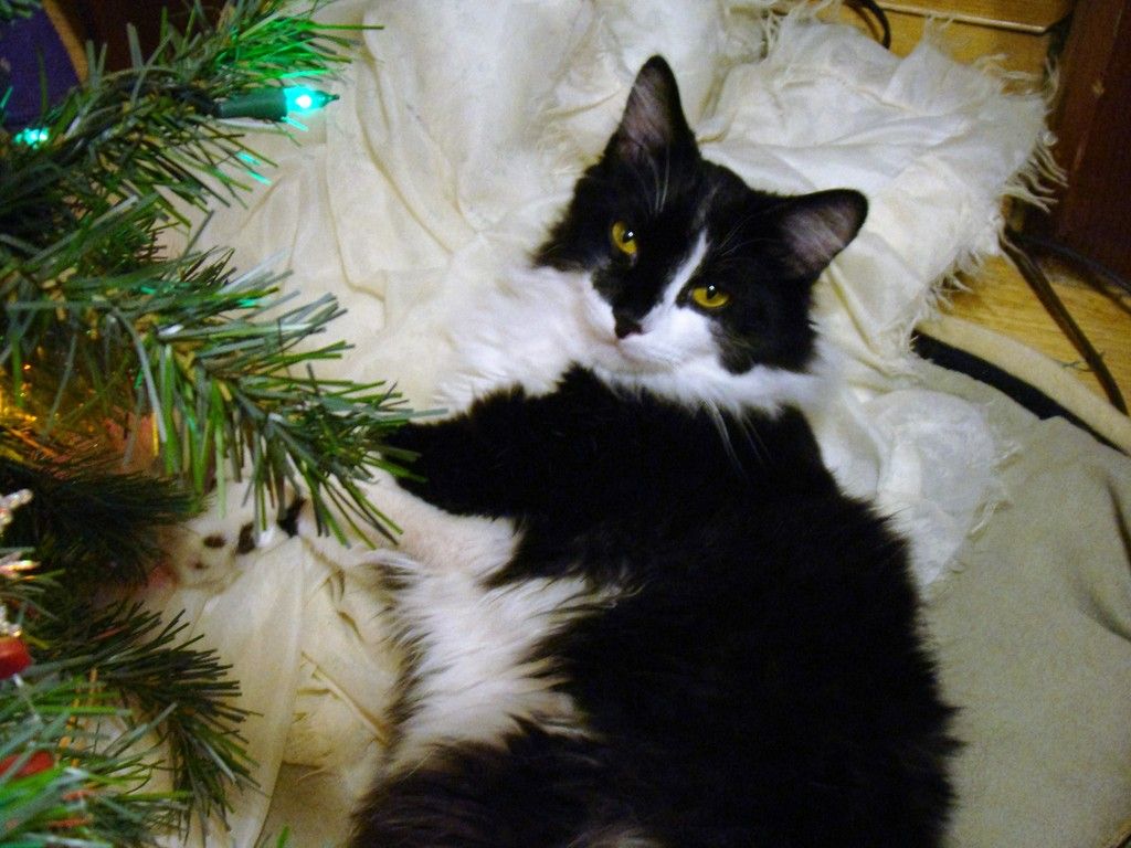 DSC02404_zpslya0slop.jpg
