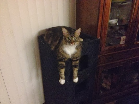 Rm5pkPuDlAKxpqK8nnnqGr1DIpvh3clUw8D2Pqfb3Us=w533-h400