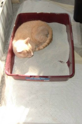 upload_2017-1-15_23-5-54-png.25721