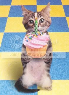 cat_with_cake.jpg