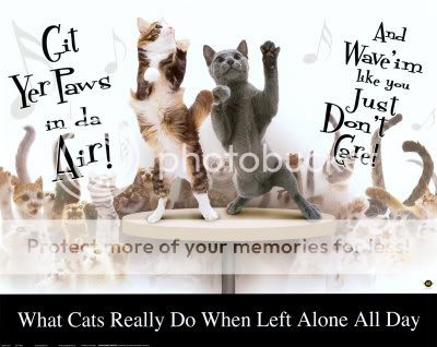 2300-1370Cat-Party-Posters.jpg