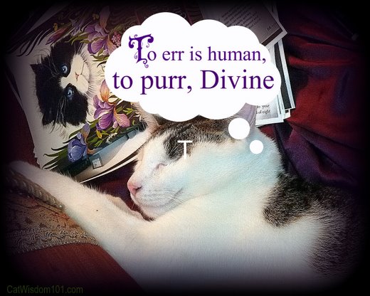 to-err-is-huma-to-purr-divine.jpg